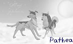 Pathea