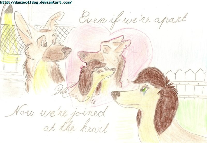 Now we're joined at heart/I will always be with yo