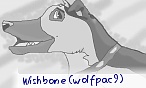 Wishbone (wolfpac9)