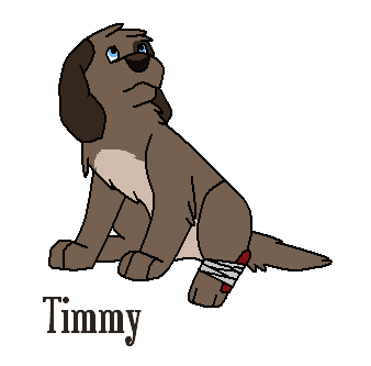 Timmy
