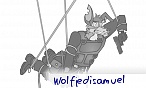 wolfjedisamuel