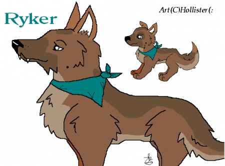 Detail Ryker