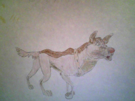 Detail Ricky M. Barkin