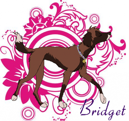 Detail Bridget