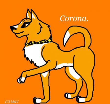 Detail Corona