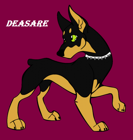 Detail .Deasare.