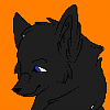 Moth (FURSONA!)