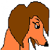 Sally