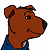 Jock P. Cane
