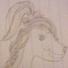 Sevanna Barkin