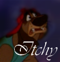 Itchy Avi