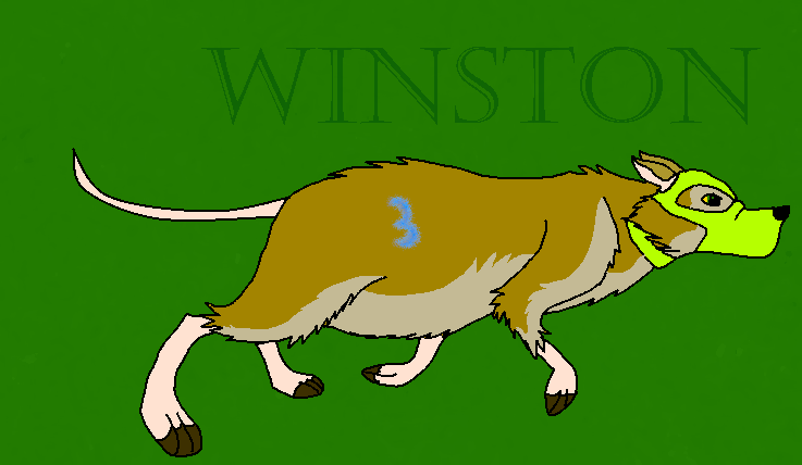 Winstoon!