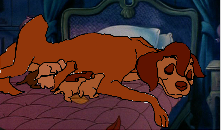 sasha has pups