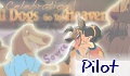 Pilot