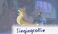 singingcollie