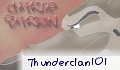 thunderclan101