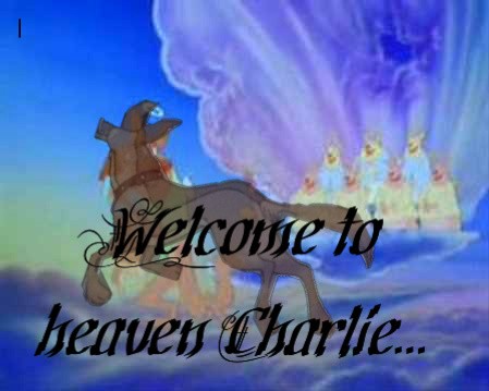 Welcome To Heaven Charlie...