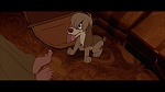 Anastasia picture