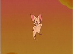 Bartok le Magnifique picture