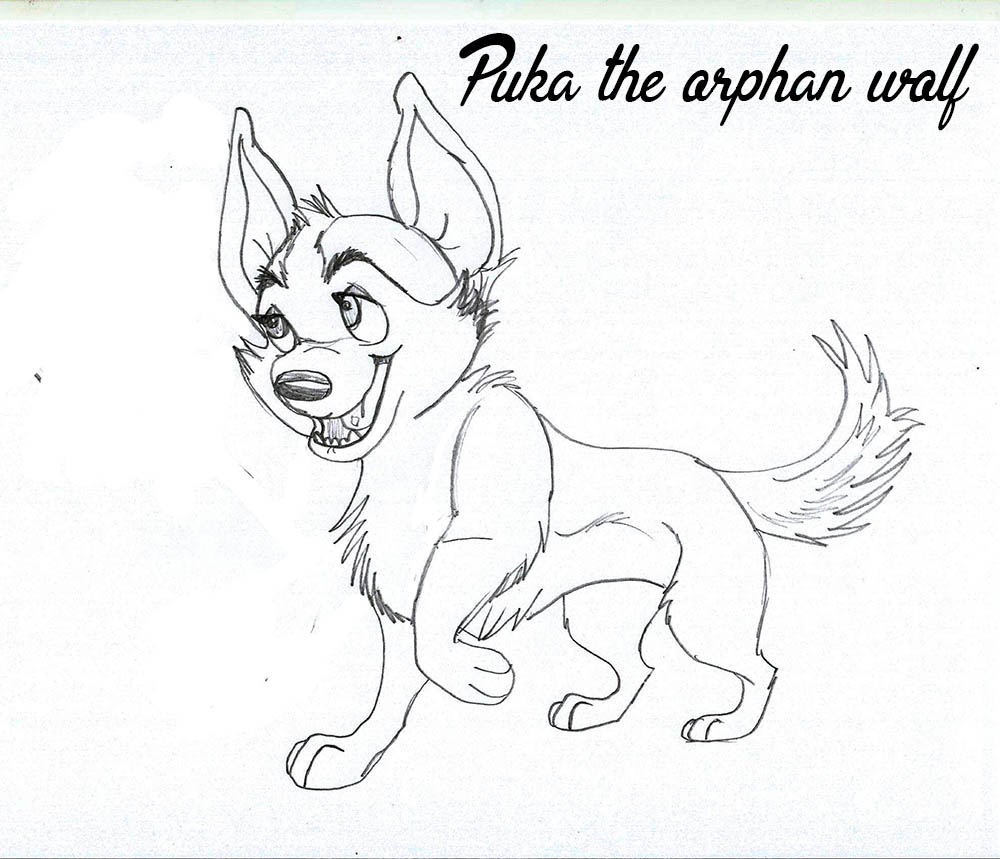 Puka the orphan wolf