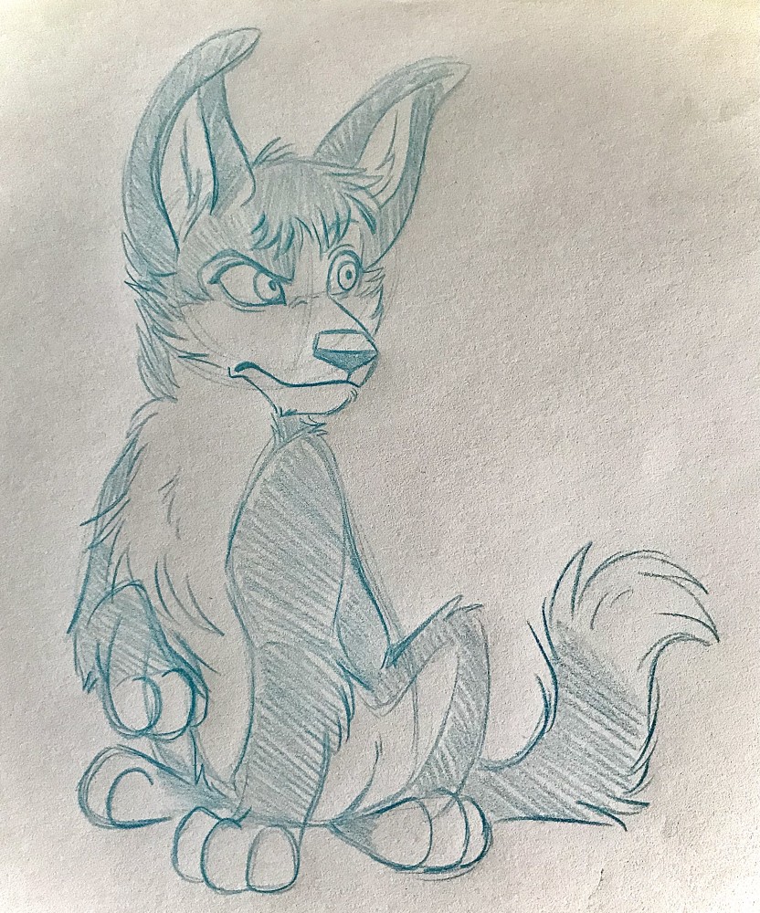 Orphan wolf