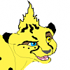 Ocirc