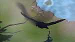 Balto 2 : Wolf Quest picture
