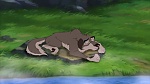 Image Balto 2 : Wolf Quest