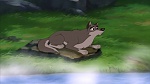 Balto 2 : Wolf Quest picture