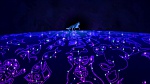 Image Balto 2 : Wolf Quest