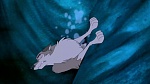 Balto 2 : Wolf Quest picture