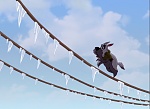 Balto 3 : Wings of Change picture
