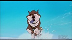 Image Balto