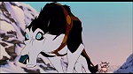Image Balto