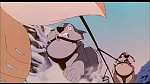 Image Balto