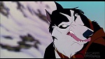 Image Balto