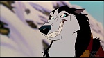 Image Balto