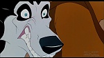 Image Balto