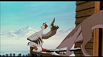 Image Balto