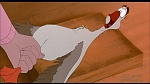 Image Balto