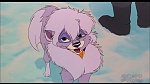 Image Balto