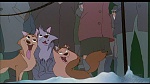 Image Balto
