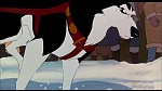 Image Balto