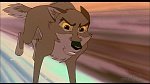 Image Balto