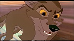 Image Balto