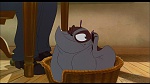 Image Balto