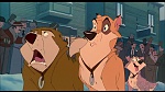 Image Balto