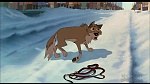 Image Balto