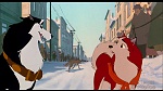 Image Balto