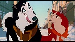 Image Balto